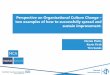 Perspective on Organisational Culture Change – two 