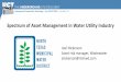 Spectrum of Asset Management in Water Utility Industry