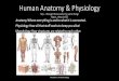 Human Anatomy & Physiology Hey…I thought those were the 