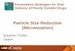 Particle Size Reduction (Micronization)
