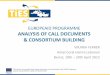 EUROPEAID PROGRAMME ANALYSIS OF CALL DOCUMENTS 