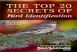 THE TOP 20 SECRETS OF