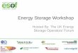 Energy Storage Workshop - UK Power Networks