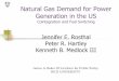 Natural Gas Demand for Power Generation in the US