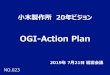 OGI-Action Plan