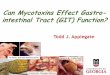 Can Mycotoxins Effect Gastro- intestinal Tract (GIT) Function?