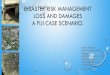 Disaster risk management loss and damages adaptation and 