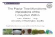 The Poplar Tree Microbiome: Implications of the Ecosystem 