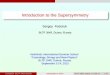 Introduction to the Supersymmetry