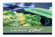 Understanding Leaky Ebook - cathybiase.com