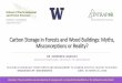 Carbon Storage in Forests and Wood Buildings: Myths 
