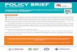 Policy Brief - PKMK