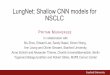 LungNet: Shallow CNN models for NSCLC