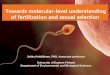 Towards molecular-level understanding of fertilization and 