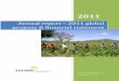 Annual report – 2011 global projects & financial statement