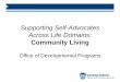 Supporting Self-Advocates Across Life Domains
