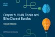 Chapter 5: VLAN Trunks and EtherChannel Bundles