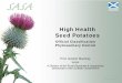 High Health Seed Potatoes - Hutton
