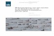 Midwintertelling van zee-eenden in de Waddenzee en de 
