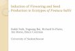 Induction of Flowering and Seed Production in Ecotypes of 