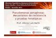 Pseudomonas aeruginosa: Mecanismos de resistencia y 