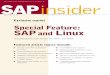 Exclusive reprint Special Feature: SAP and Linux