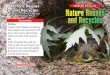 Nature Reuses LEVELED BOOK R and Recycles