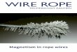 Magnetism in rope wires