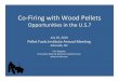 Co Firing with Wood - Pellet Fuels Institute