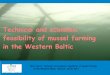 Technical and economic feasibility of mussel farming in 