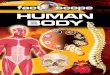 SADDLEBACK’S HUMAN BODY HUMAN BODY