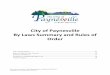 City of Paynesville By Laws Summary and Rules of Order