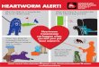 HW Vectors - American Heartworm Society