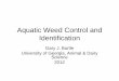 Aquatic Weed Control and Identification - Extension