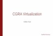 CGRA Virtualization