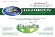 Globsyn Management Journal Vol. XIII