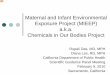 Maternal and Infant Environmental Exposure Project 