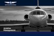 Aviation Management - Southern Air Systems