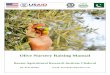 Olive Nursery Raising Manual - pdf.usaid.gov
