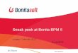 Sneak peek at Bonita BPM 6