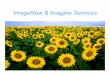 ImageNow & Imagine Services
