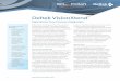 Deltek VisionXtend - ERP & Technology Consulting