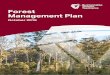 Forest Management Plan - sttwebdata.blob.core.windows.net