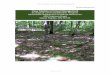 Case Studies in Forest Management