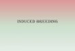 Induced breeding - shcollege.ac.in