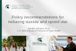 Policy recommendations for reducing suicide and opioid use