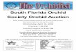 South Florida Orchid Society Orchid Auction