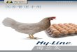 海兰灰商品代蛋鸡 2018–2020 2016 饲养管理手册