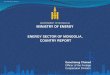 ENERGY SECTOR OF MONGOLIA, COUNTRY REPORT