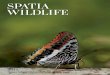 Nature holidays and wildlife photography tours